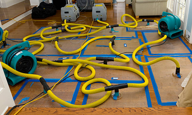 Professional Crawl Space Water Removal technician working in Emerald Isle, NC